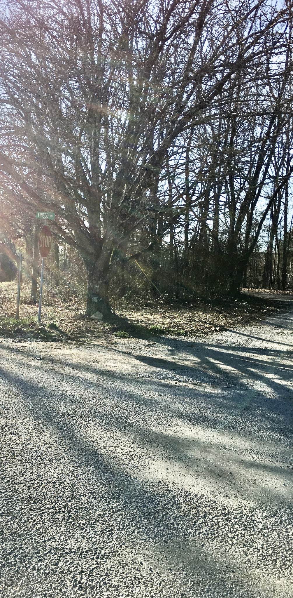 0 Frisco Rd - Photo 1