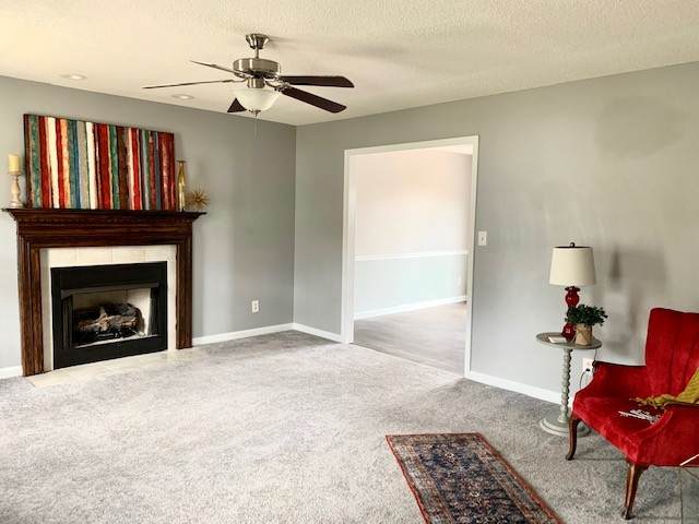 922 Hedge Apple Dr - Photo 1