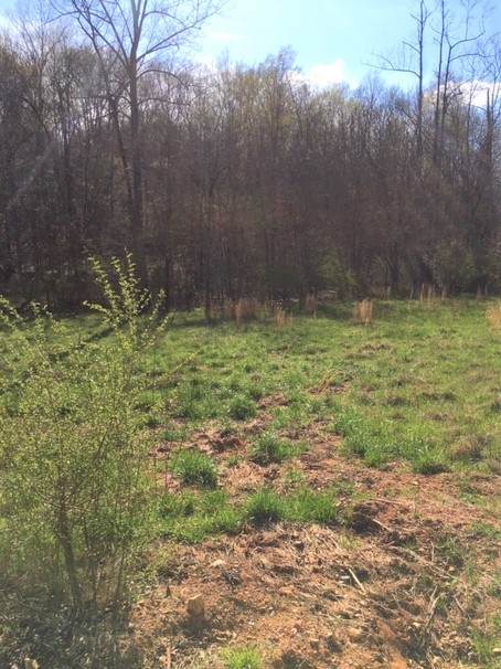 0 S Tatum Creek Road - Photo 1