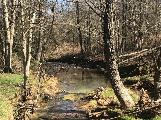 0 Suckstem Branch - Photo 1