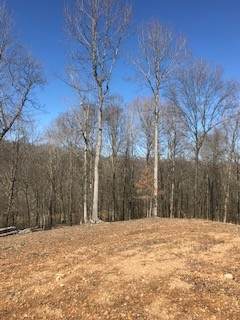 0 Hwy 52 Bypass West - Photo 1