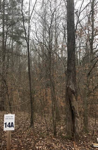 14A Allen Bend Rd - Photo 1