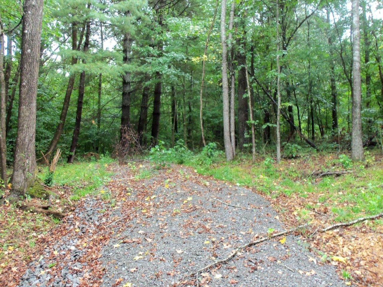 541 Forest Trl - Photo 1