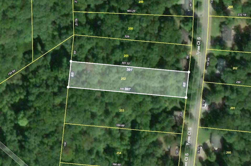 0 Tyree Ct. S. (Lot 252) - Photo 1