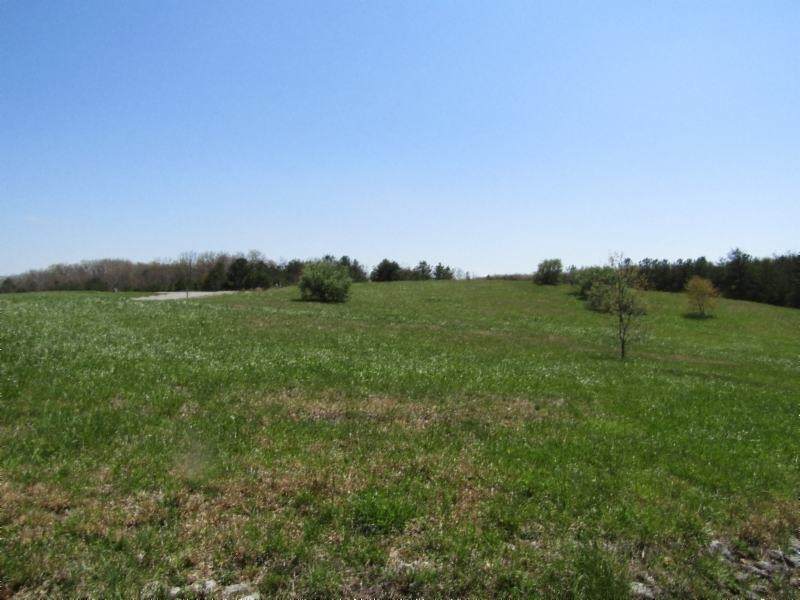 0 Nichol Creek Drive - Photo 1