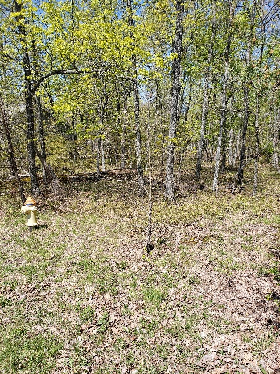 0 Bent Oak Ln - Photo 1