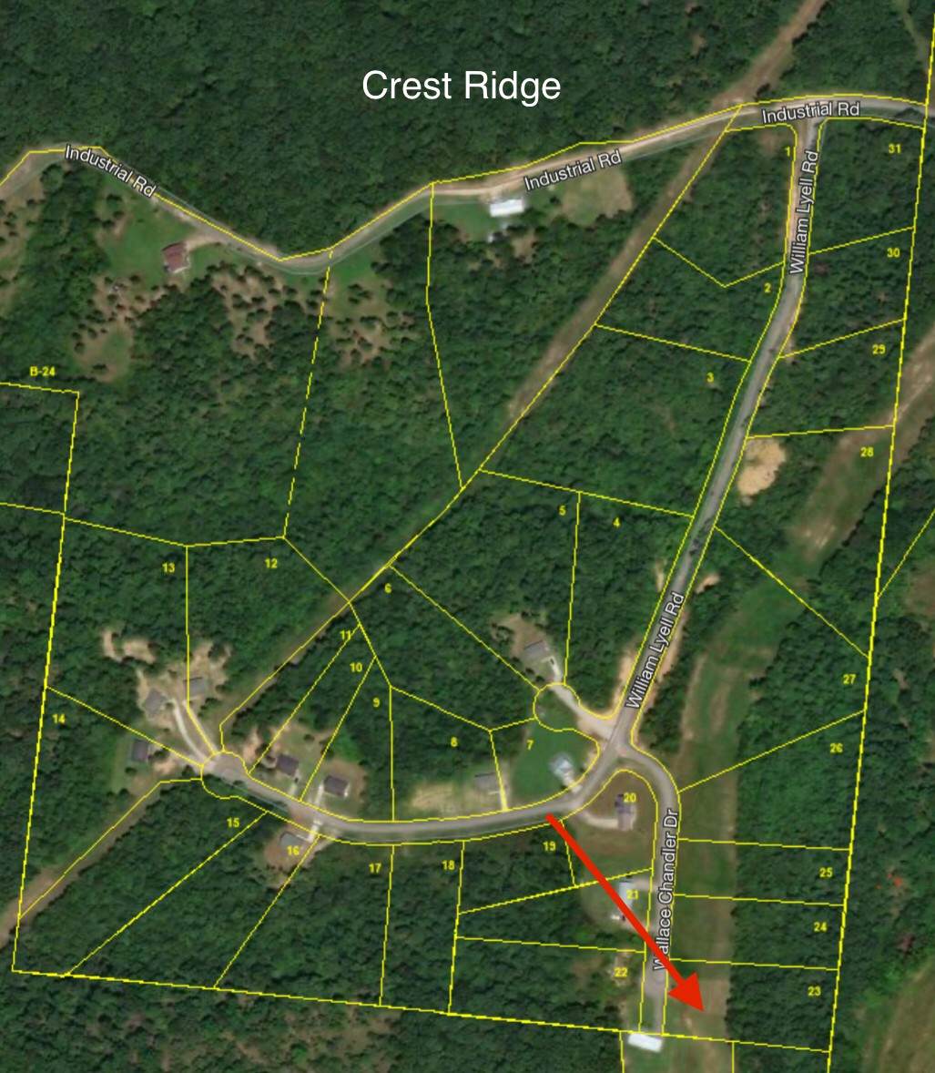 0 Wallace Chandler Dr - Photo 1 0 Wallace Chandler Dr - Photo 1