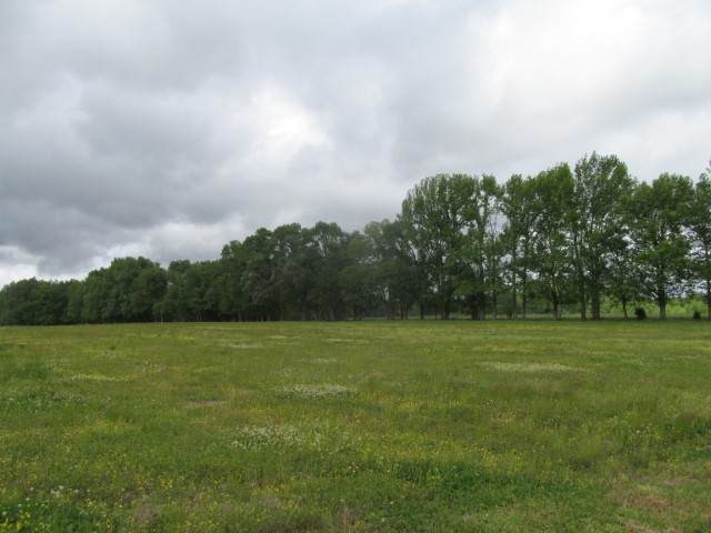 921 Summertown Hwy - Photo 1 921 Summertown Hwy - Photo 1