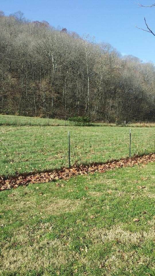 0 Lindsey Hollow Road - Photo 1 0 Lindsey Hollow Road - Photo 1