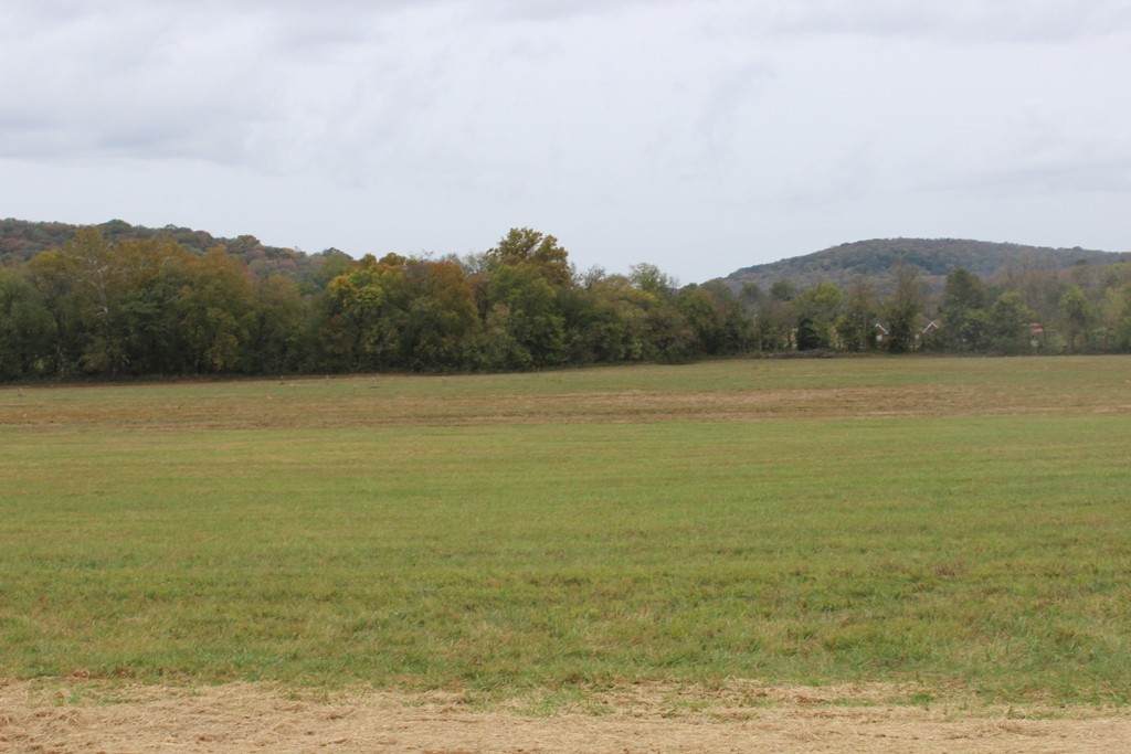 4 Cainsville Pike - Photo 1