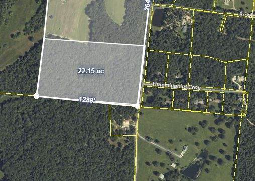 0 Summertown Hwy/Poag Rd - Photo 1