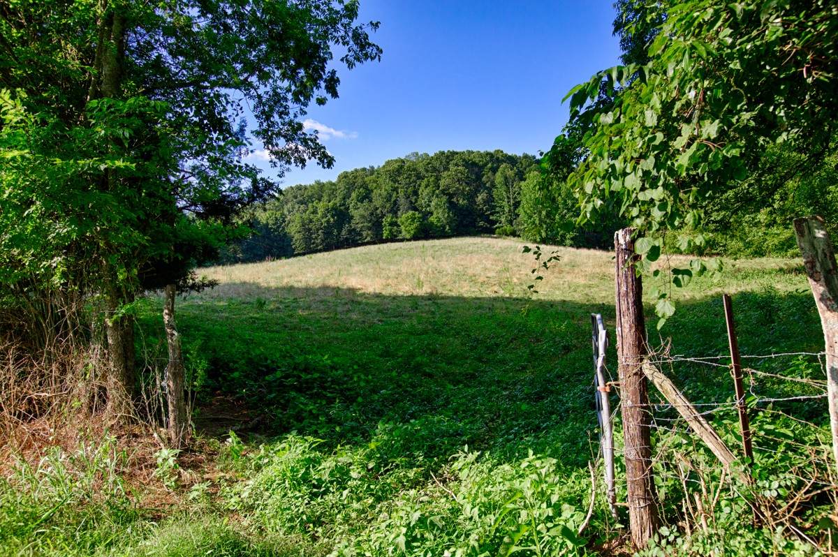 1 Shoal Creek Rd - Photo 1