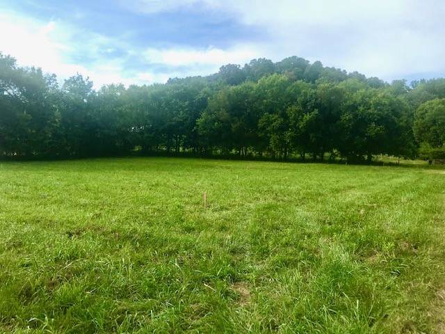 6822 Arno Allisona Rd - Photo 1