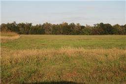 0 Decherd Estill Rd - Photo 1