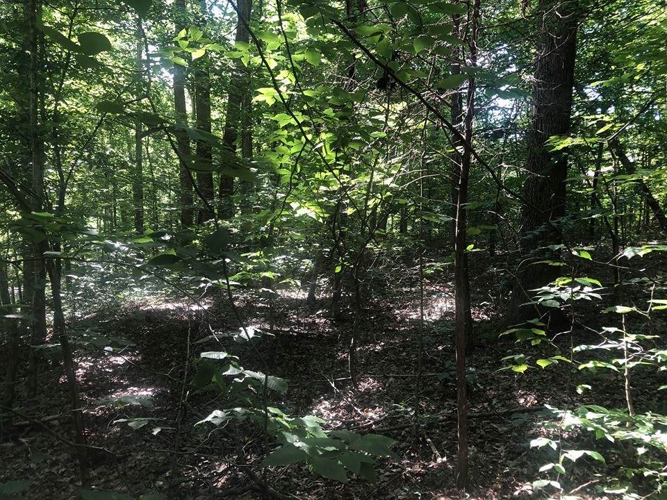 0 Heights Circle - Photo 1