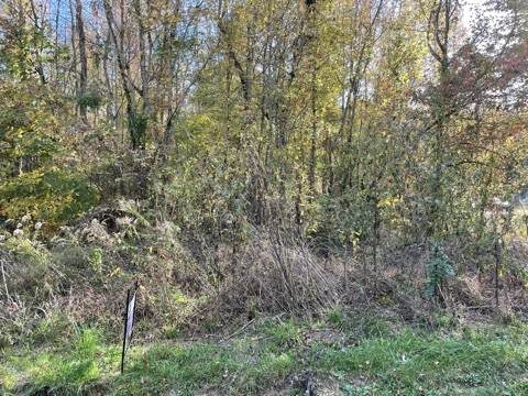 0 Forrestwood Dr - Photo 1