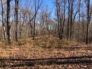 0 Green Forest Rd - Photo 1