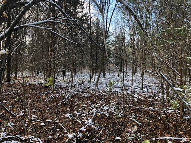 5300 Harrison Ferry Rd - Photo 1