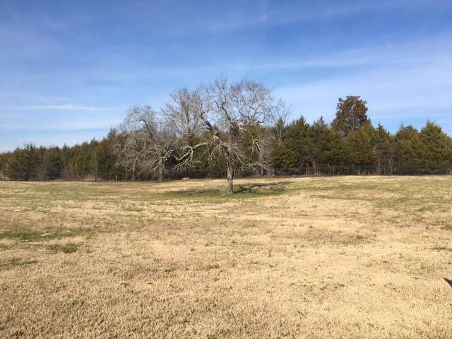 811 Stonebrook Dr - Photo 1