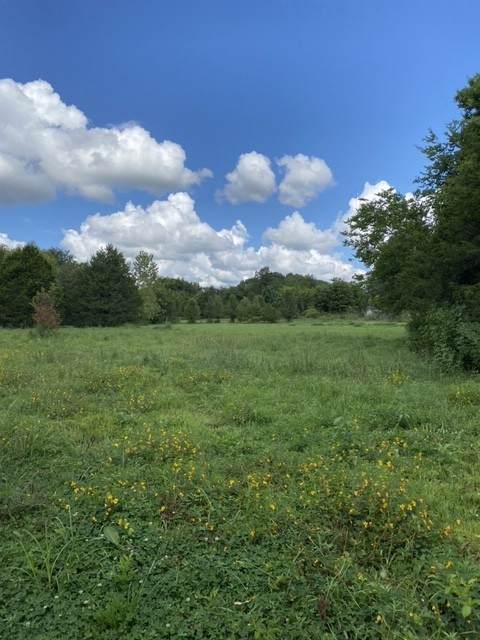 2600 Lone Oak Rd - Photo 1