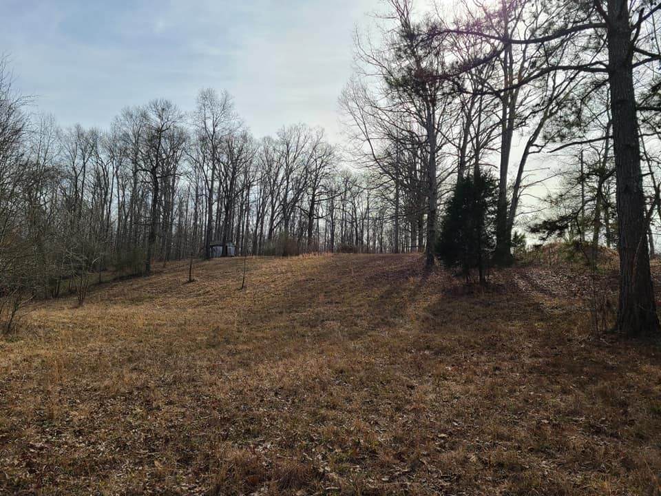 208 Fleming Rd - Photo 1