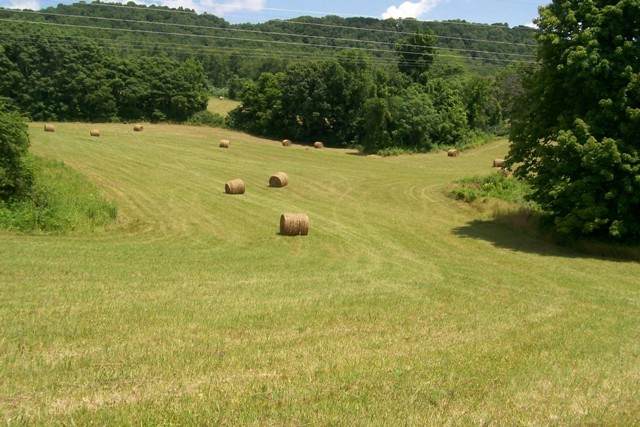0 Webbs Camp Rd - Photo 1