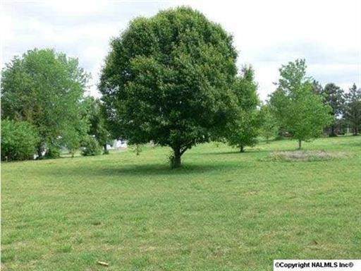 0 Smith Mill Rd - Photo 1
