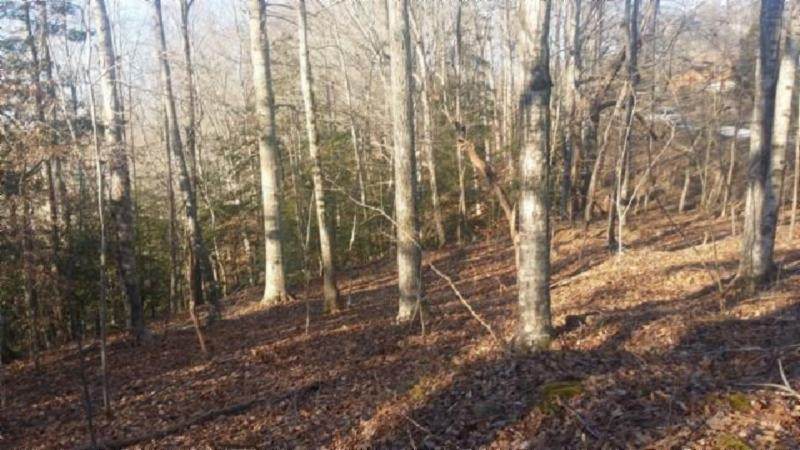 3 .50Ac Boles Beaty Rd - Photo 1