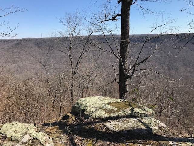 0 Eagle Rock Rd - Photo 1