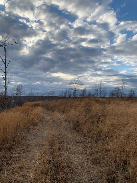 0 S Hurricane Creek Rd - Photo 1