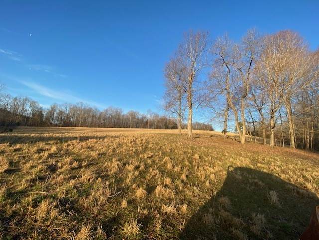 1551 Buck Smith Rd - Photo 1