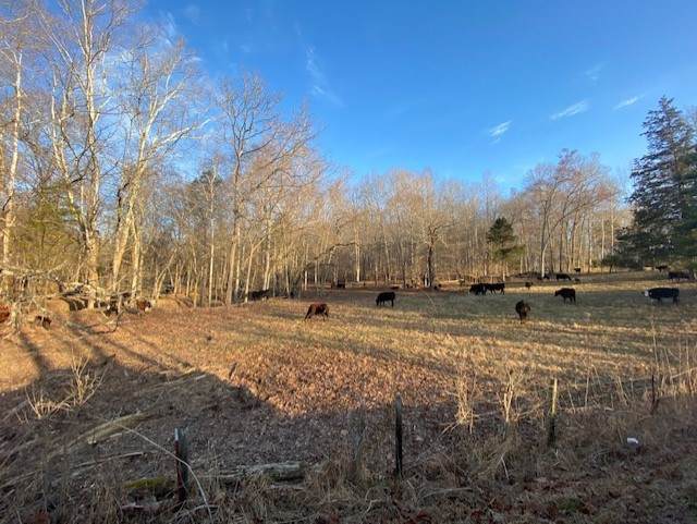 1551 Buck Smith Rd - Photo 1