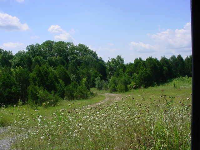 0 Holly Grove Rd - Photo 1
