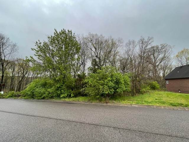 113 S High Ridge Dr - Photo 1