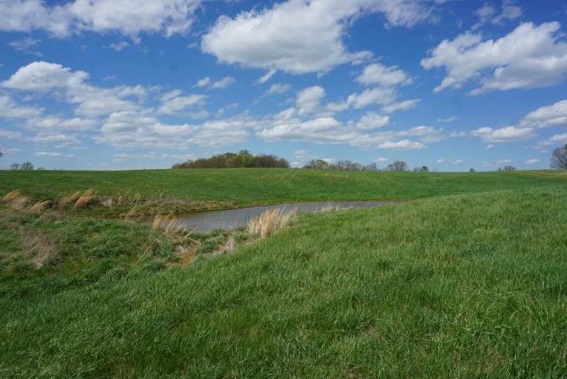 0 Highway 49 West - Photo 1