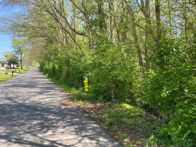 0 Oaks Lane - Photo 1