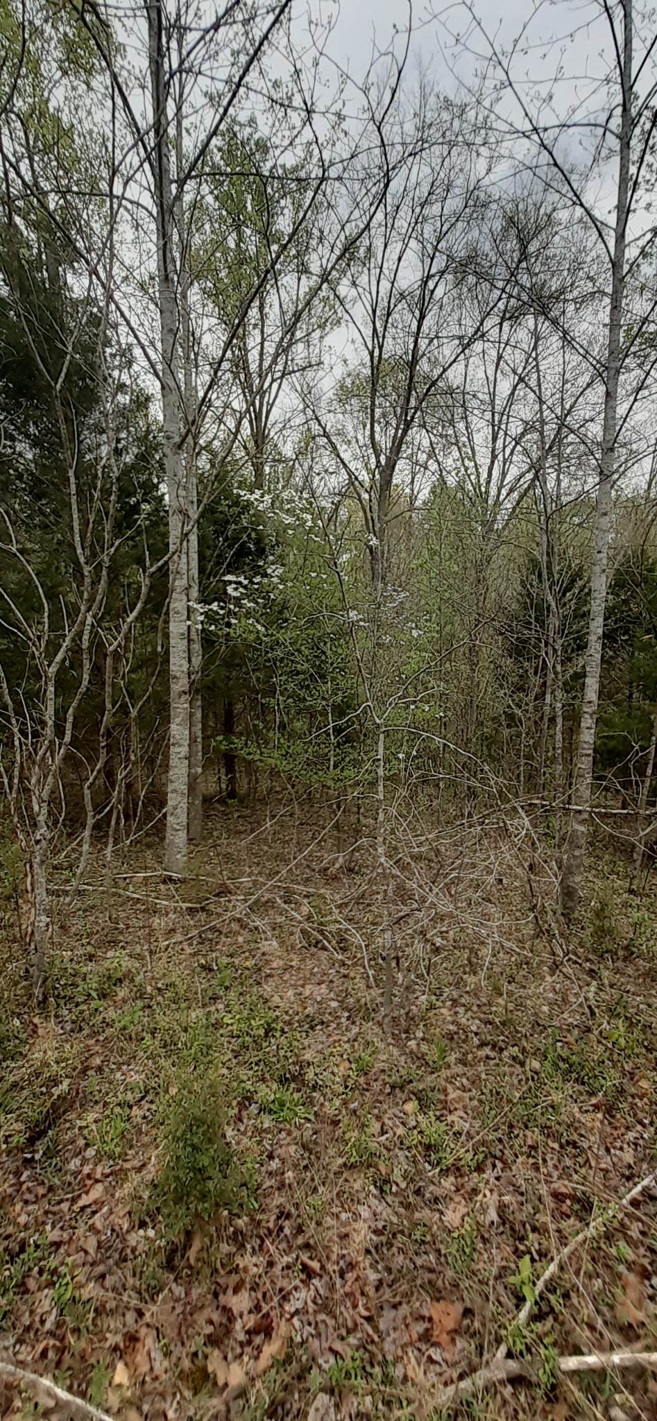 0 Rocky Point Rd. - Photo 1