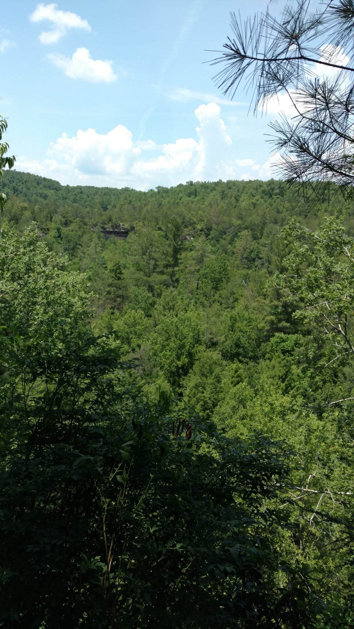 6299 Delina Rd - Photo 1