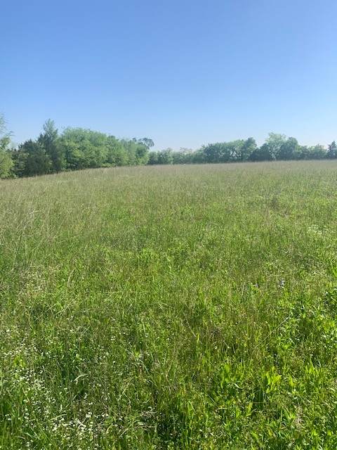 0 Rock Springs Rd - Photo 1