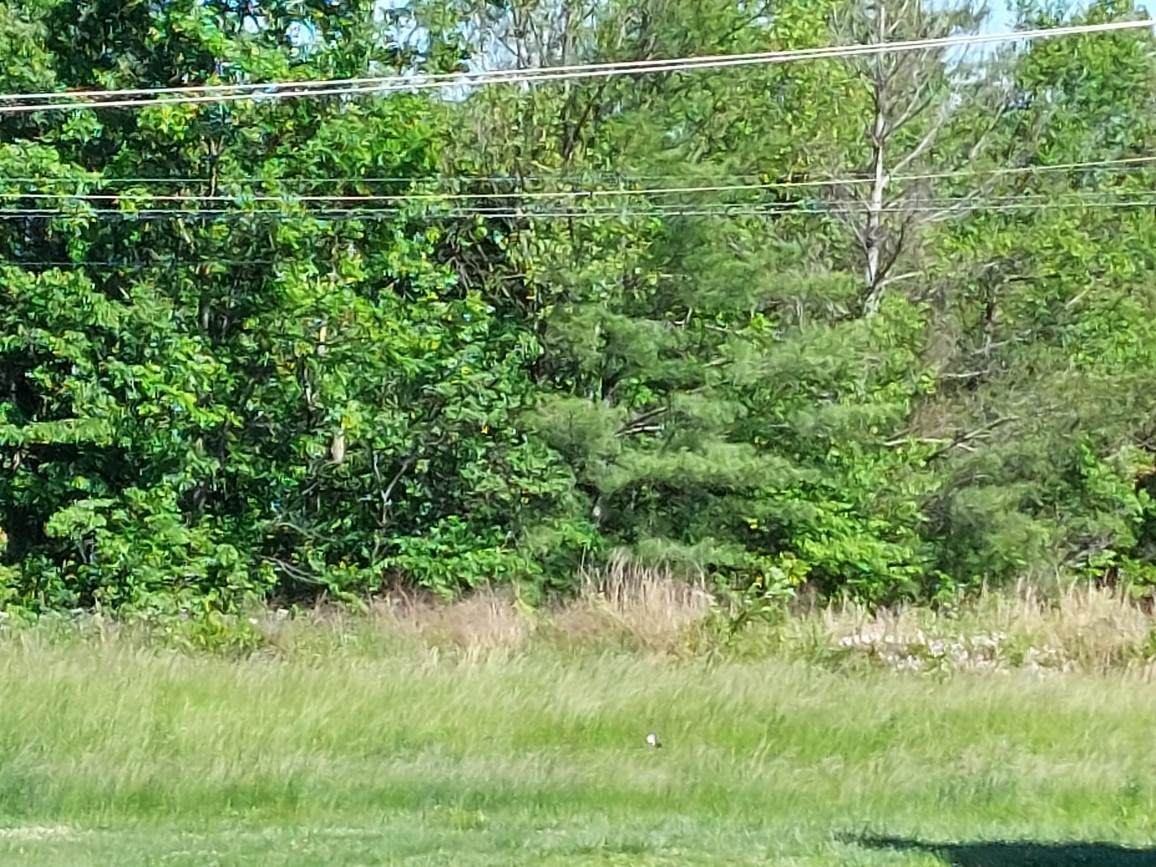 1179 Old Lock A Rd - Photo 1