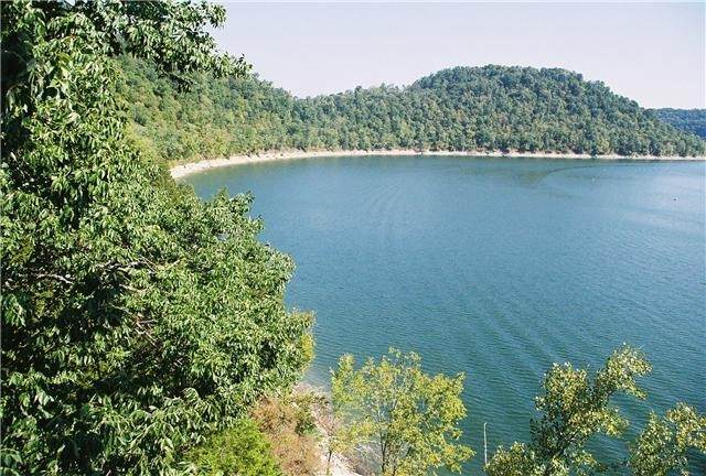 8 Dubland Lake Estates Lots - Photo 1