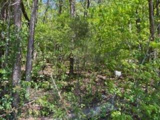0 Delozier Ln - Photo 1