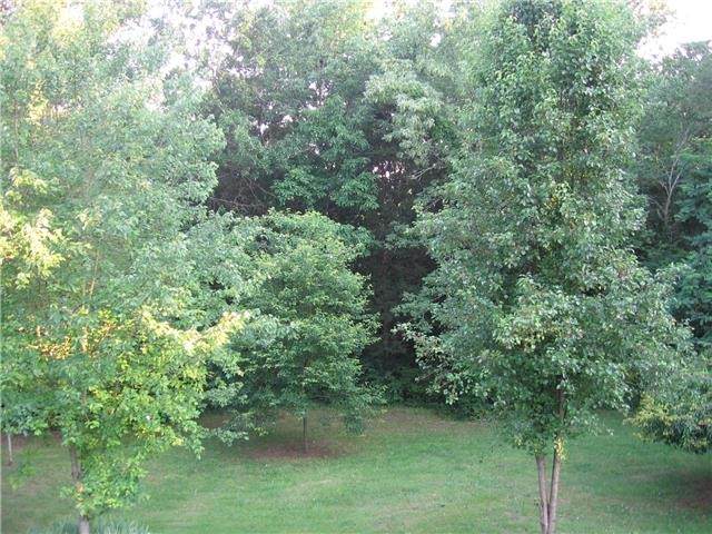 0 Weakley Ln - Photo 1