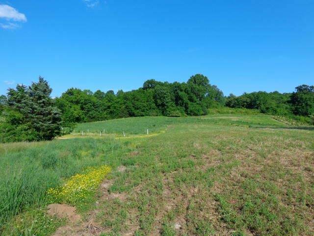 130 Polecat Branch Rd - Photo 1