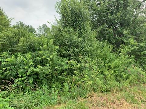 887 Crescent Dr - Photo 1