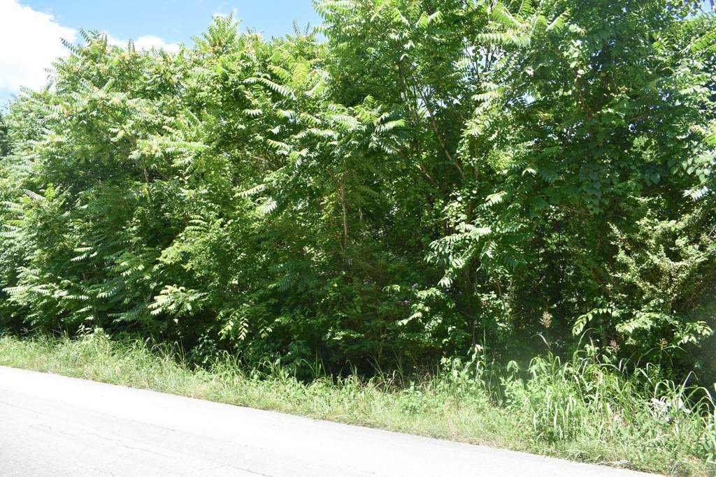 0 Hogans Creek Rd - Photo 1