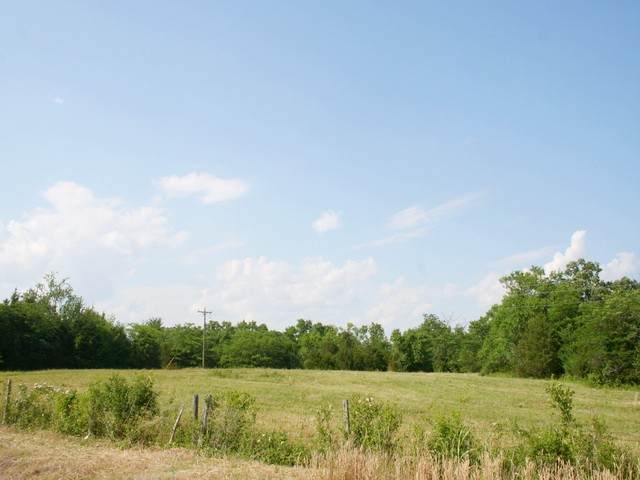0 New Columbia Hwy - Photo 1