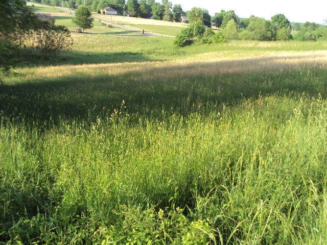 85 Lauren Ln - Photo 1