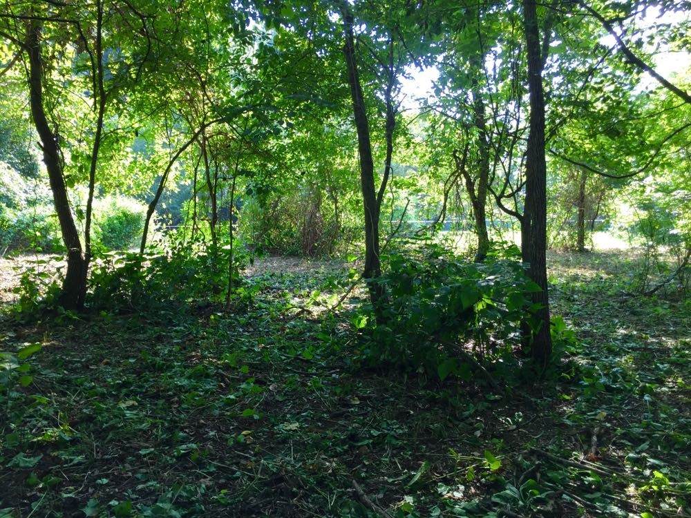 0 Hester Beasley Rd - Photo 1