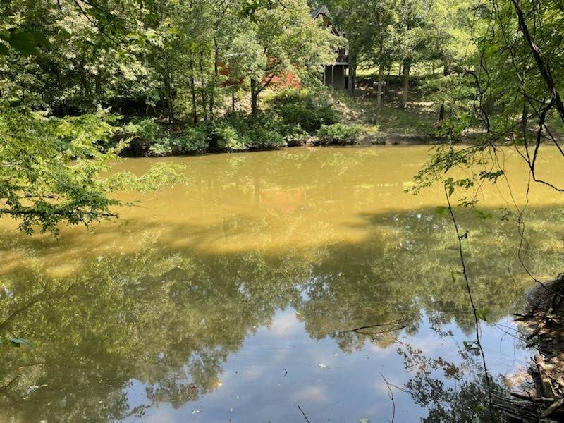 0 Shirley Bates Rd - Photo 1